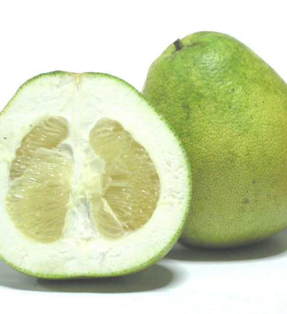 Citrus_grandis_-_Honey_White