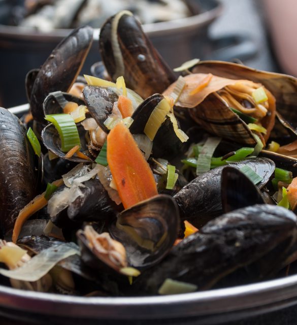 dtail moules marinre dtail moules marinre