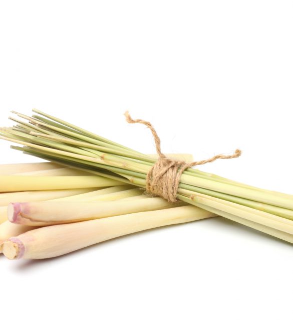 Bundle of lemon grass on white background