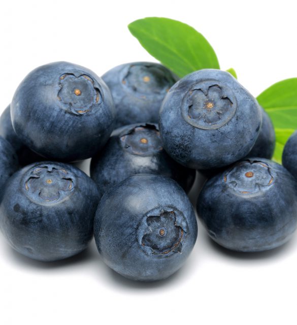 Blueberry Blueberry