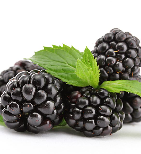 beautiful blackberries with leaf isolated on white beautiful blackberries with leaf isolated on white