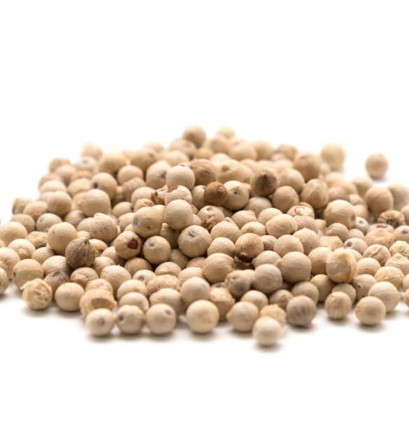 Pile of white pepper Pile of white pepper isolated on white background selective focus