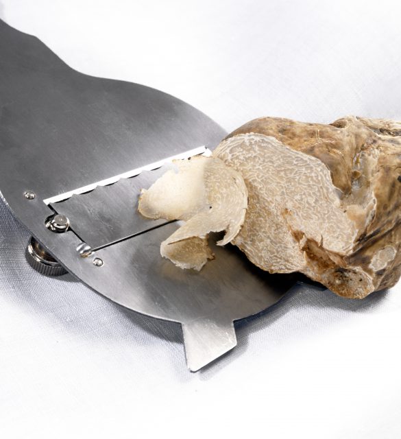 Slicing a white truffle Slicing a white truffle into fine slices with a stainless steel cutter for use as a gourmet ingredient to flavour food in cooking