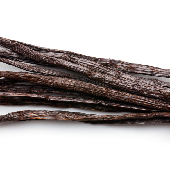 vanilla pods on white background