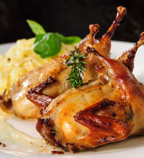 Roasted or fried quail with herbs and tagliatelle Roasted or fried whole quails with herbs and tagliatelle at white plate on wooden table
