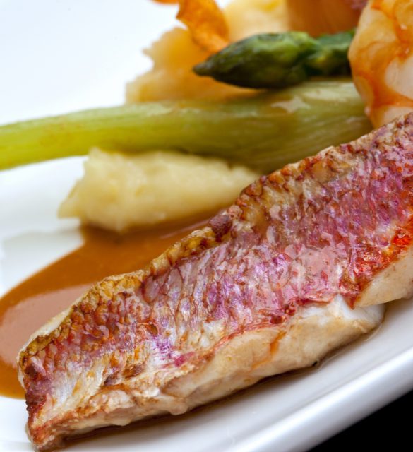 Gastronomie, cuisine, restaurant, poisson, rouget, plat