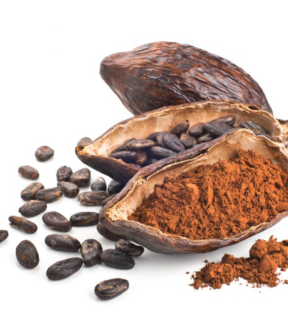 Cocoa pod, beans and powder isolated on a white Cocoa pod, beans and powder isolated on a white background