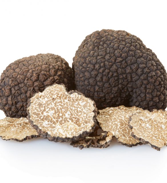 Black truffles group and slices isolated on white, clipping path included Black truffles group and slices isolated on white, clipping path included