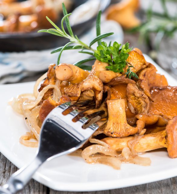 Some cooked Chanterelles Some cooked Chanterelles on vintage wooden background