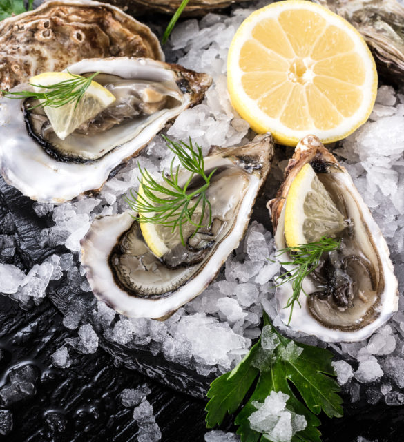 Frische austern